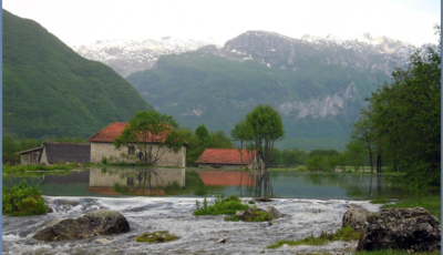Slika
